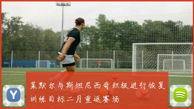 莱默尔与斯坦尼西奇积极进行恢复训练目标二月重返赛场